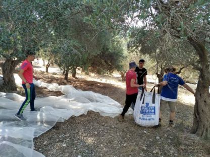 אלופים: התנדבו למסוק זיתים מפני שבחים