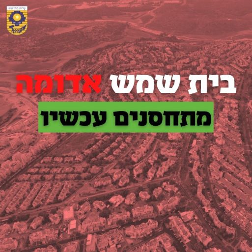 מתחסנים עכשיו