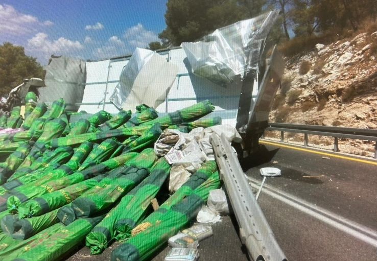 המשאית בזירת התאונה צילום המשטרה