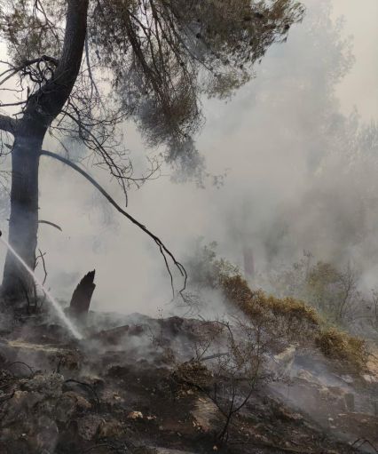 תיעוד מבצעי דוברות כב"ה