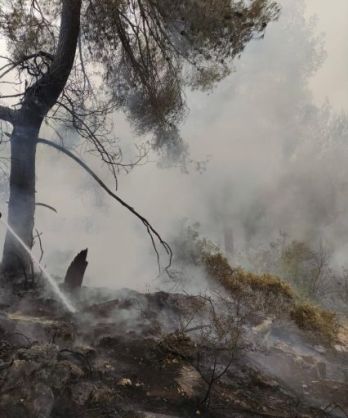 שריפה משתוללת בהרי ירושלים