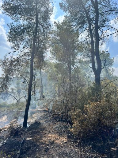 שריפה ביער צילום: כב"ה