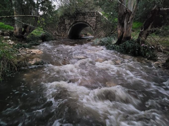 צילום: דוד לף