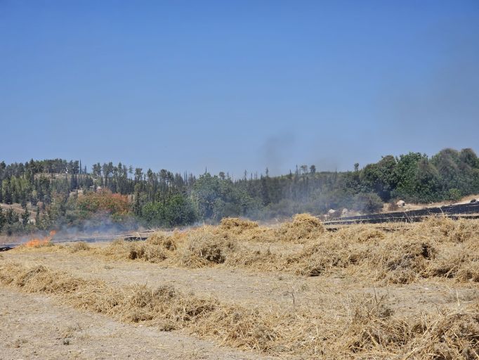 שריפה בתעוז צילום: דוברות כב"ה