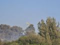פארק בריטנה פונה ממטיילים אתמול במצב אש מתפשטת