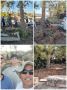 בית העלמין הוותיק של הר טוב זכה השבוע לתשומת לב