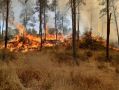 התנגדות מסודרת ומקצועית לתוכנית רמה ו – תוגש בשיתוף גורמים סביבתיים