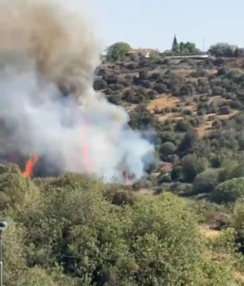 שטח חורש בין צפרירים וגבעת ישעיהו עלה באש