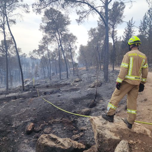 צילום: מבצעי, כב"ה
