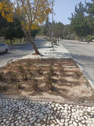 נלמד מירוחם- נכבד את השותף הבכיר להקמת מפעל מנועי בית שמש