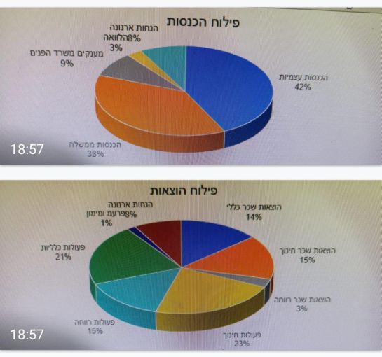 פילוח ההכנסות וההוצאות לפי נושאים