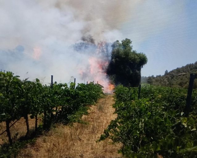 צילום: כיבוי אש