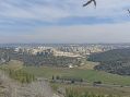 קריאה נואשת של האופוזיציה נגד בניה מסיבית בבית שמש