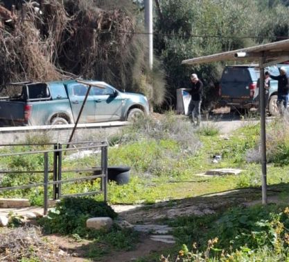 בעלי חיים כלבים וחתולים הורעלו במושב תרום
