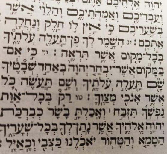 מן התורה