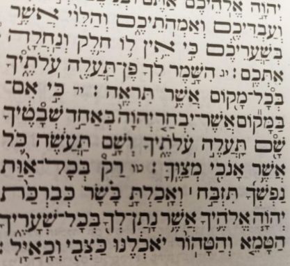 הבחירה החופשית- זכות יסוד