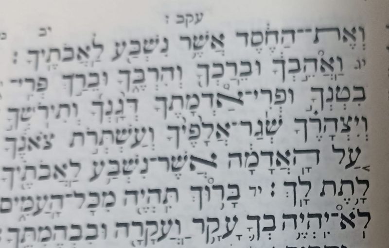 פרשת השבוע פרשת השבוע
