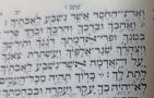 חטא העגל- תזכורת היסטורית שכולה מסר חינוכי יסודי שנועד ללוות את עם ישראל לדורות.