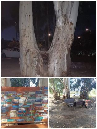 מי השחית את פינת הזיכרון לחללי צהל בנחל ירמות