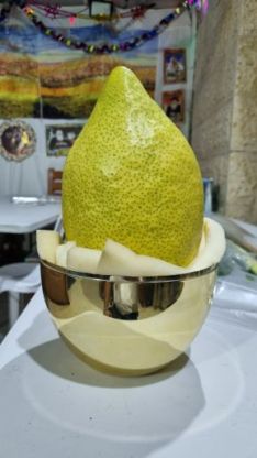 “כל ישראל ראויים לישב בסוכה אחת״