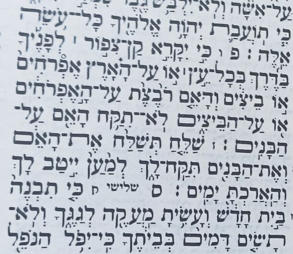 מתוך הפרשה מתוך הפרשה