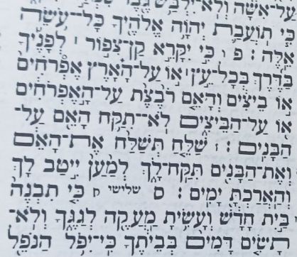 זה מתחיל במלחמה ונמשך באחריות להשיב אבידה