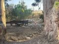 פארק אורי וישעי עדיין מזוהם ומלוכלך