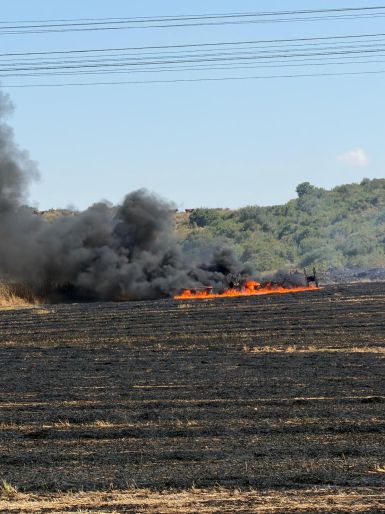 צילום: שגב ביטון צילום: שגב ביטון