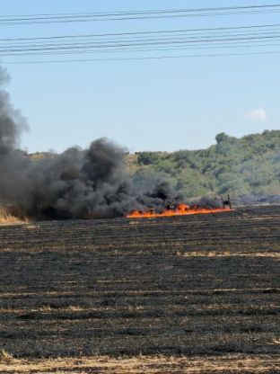 צילום: שגב ביטון