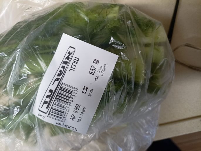 עלים לפח עלים לפח