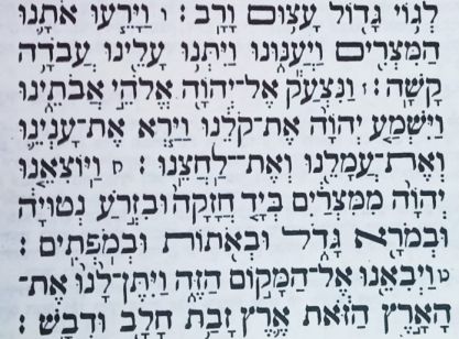 ניגודים בחיים: הר גריזים והר עיבל וכל מה שביניהם