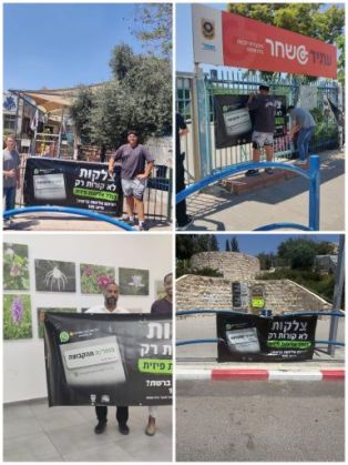 הקשיבו הקשיבו, זה קול הנוער- צלקות לא קורות רק בגלל אלימות פיסית