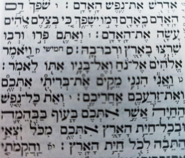 פרשת נוח- ואתם פרו ורבו פרשת נוח- ואתם פרו ורבו