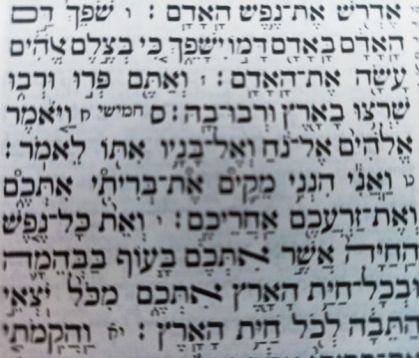 פרשת נוח- כיצד הגיע צדיק לשפל?