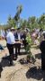 מתכוונים להרוס את החווה החקלאית, בינתיים שותלים שם גפן...