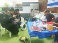 שמעון רוקח נלב"ע- מי בא לנחם? האדמו"ר של תולדות אברהם יצחק