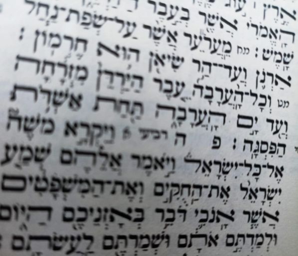 פרשת השבוע פרשת השבוע