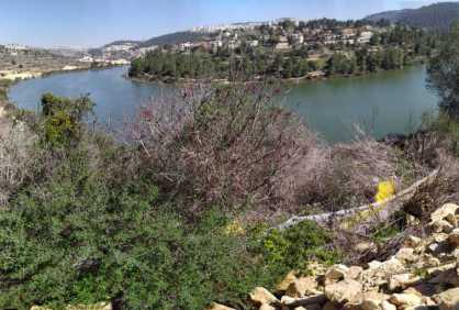 שיברי מאגר בית זית נפתחו להזרמת מים לנחל שורק